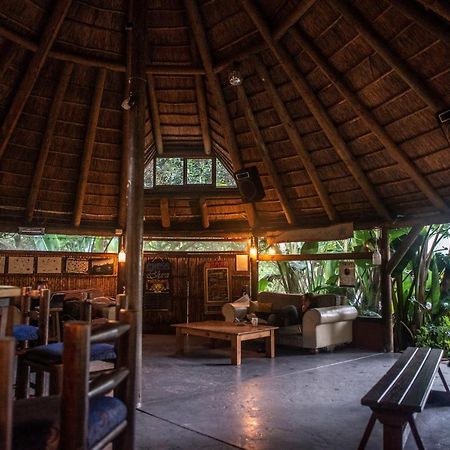 Fairy Knowe Backpackers Lodge Wildernis Exteriör bild