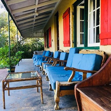 Fairy Knowe Backpackers Lodge Wildernis Exteriör bild