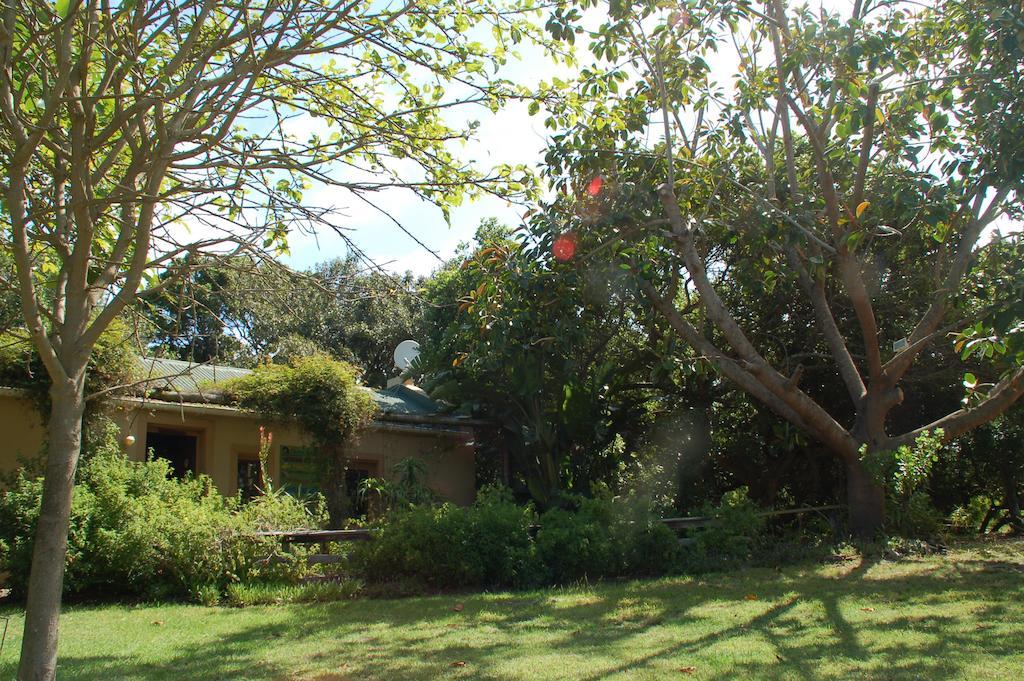 Fairy Knowe Backpackers Lodge Wildernis Exteriör bild