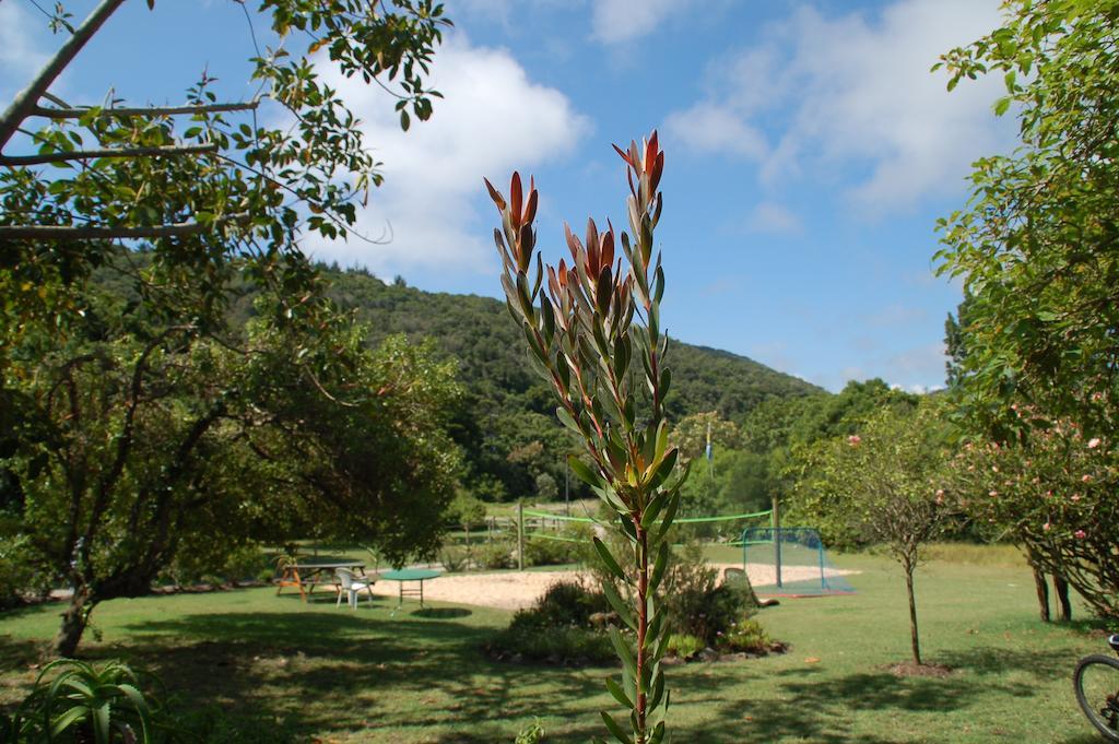 Fairy Knowe Backpackers Lodge Wildernis Exteriör bild