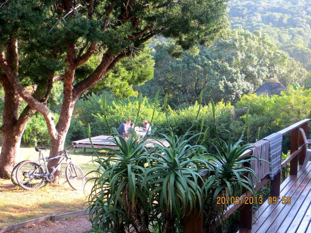 Fairy Knowe Backpackers Lodge Wildernis Exteriör bild