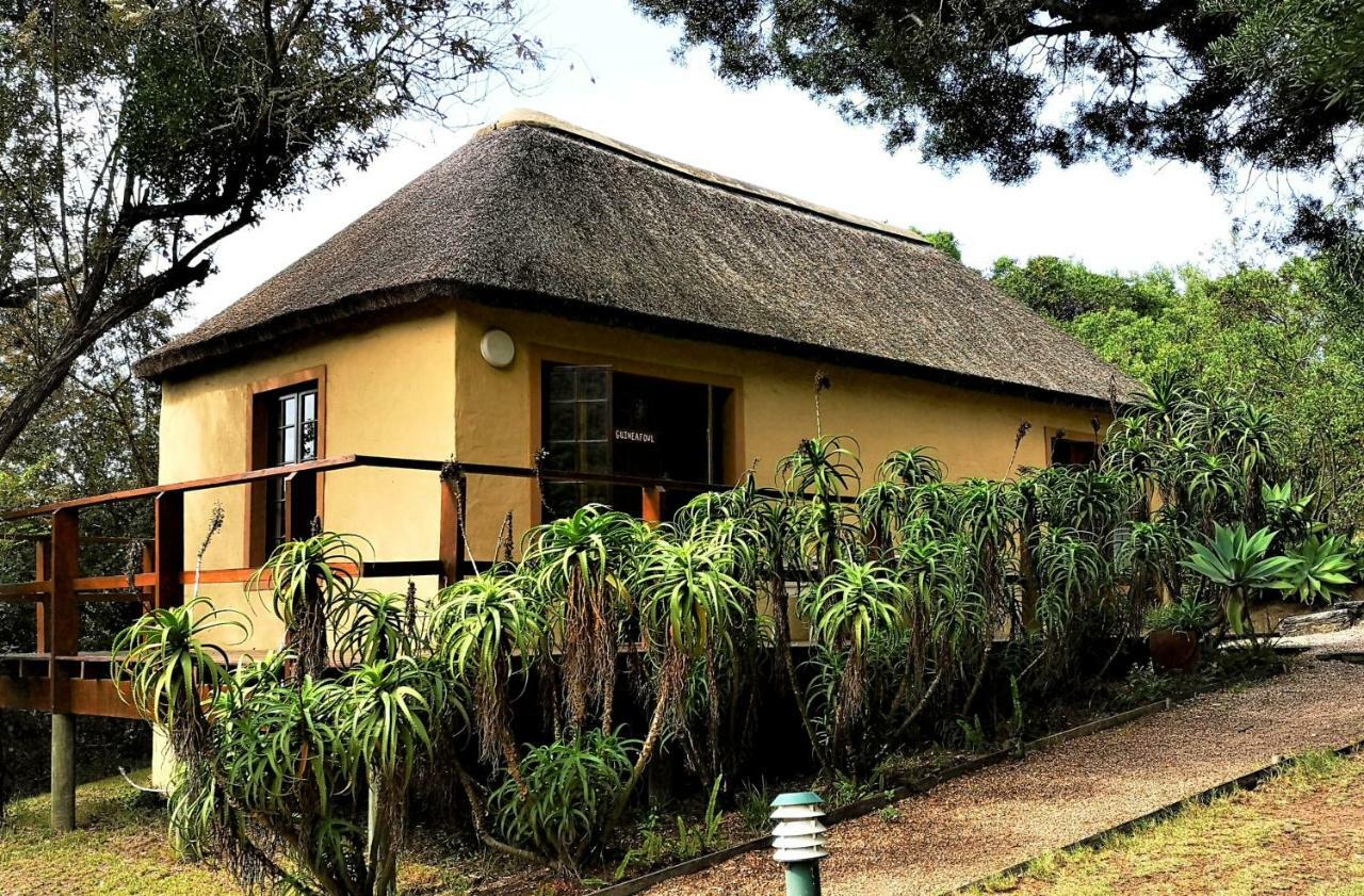 Fairy Knowe Backpackers Lodge Wildernis Exteriör bild