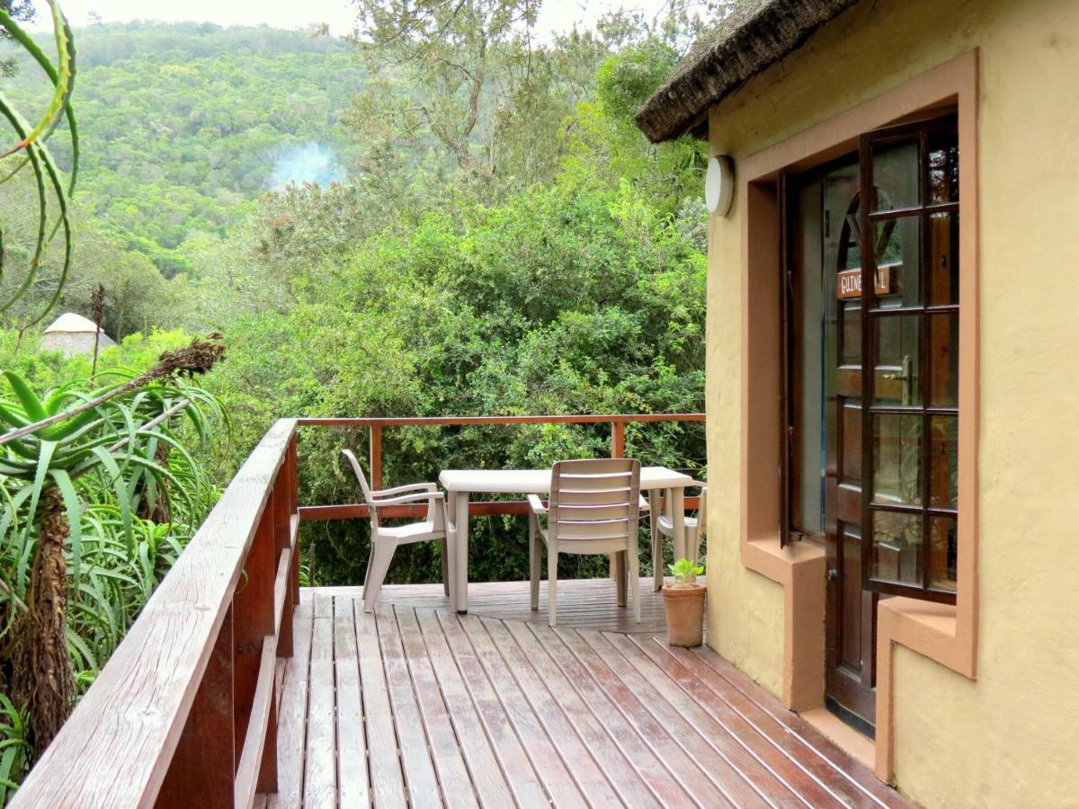 Fairy Knowe Backpackers Lodge Wildernis Exteriör bild