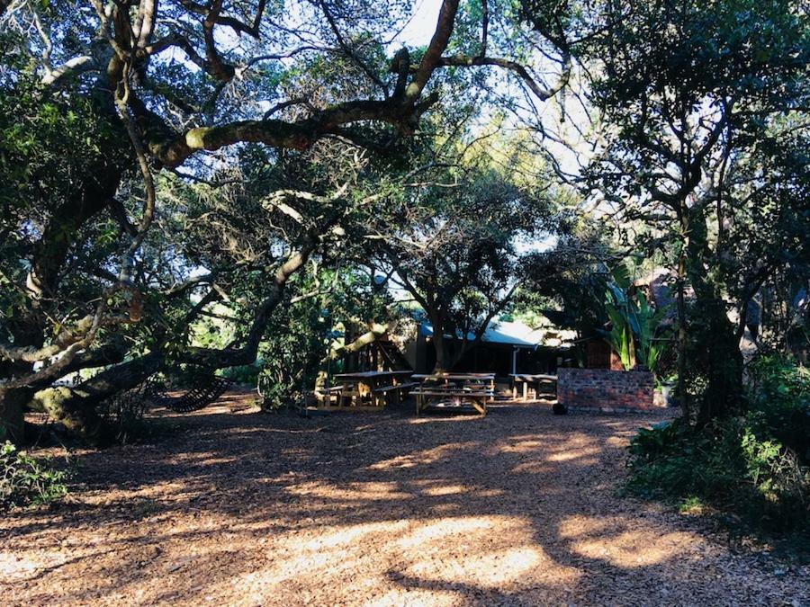 Fairy Knowe Backpackers Lodge Wildernis Exteriör bild
